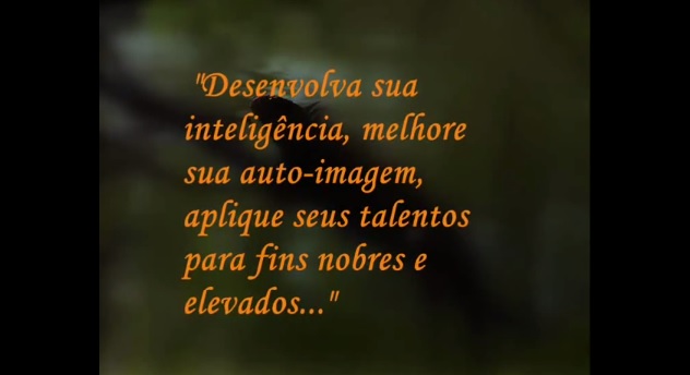 mensagem para refletir viva com otimismo mensagens angels mensagens