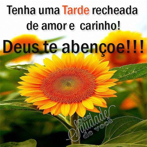 boa-tarde-deus-abencoe.jpg