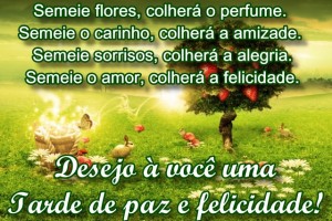 boa-tarde-deliciosa