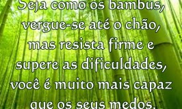 Seja como os bambus