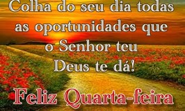 Colha do seu dia
