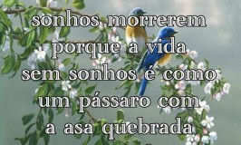 Frases sobre Sonhos