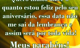 Estou feliz pelo seu aniversário