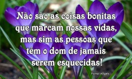 Frases de Carinho