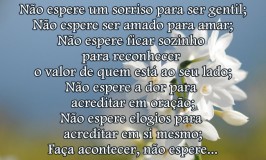 Faça acontecer, não espere…