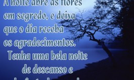 Frases de Boa Noite