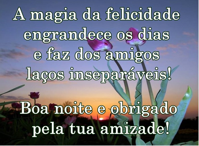 boa-noite-luz.jpg