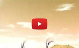 Correr o risco de viver os seus sonhos – Vídeo