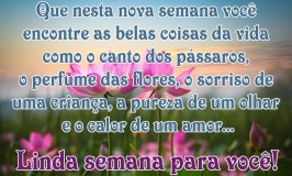 Frases de Boa Semana